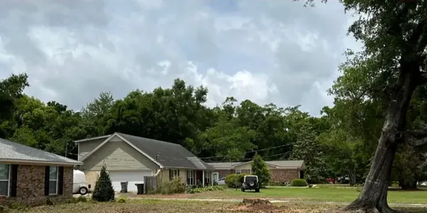 The same yard, cleared and cleaned up