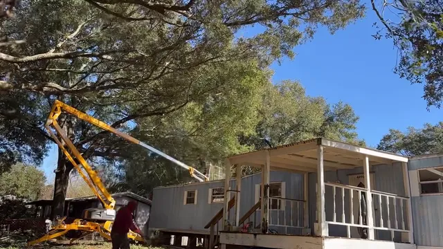 Log Hog's lift reaching over a home to trim a big oak