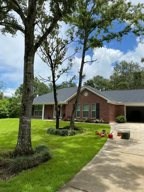 Big oak trees freshly trimmed over a green front lawn and brick home