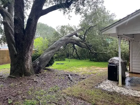 A large oak limb that split and fell beside a house